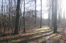 Forêt de Compiègne vers Bourdelotte